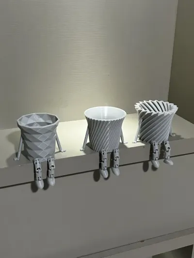 Mini pots mignons pour succulentes